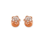 Load image into Gallery viewer, The Audrina Earring for Women |AIE862

