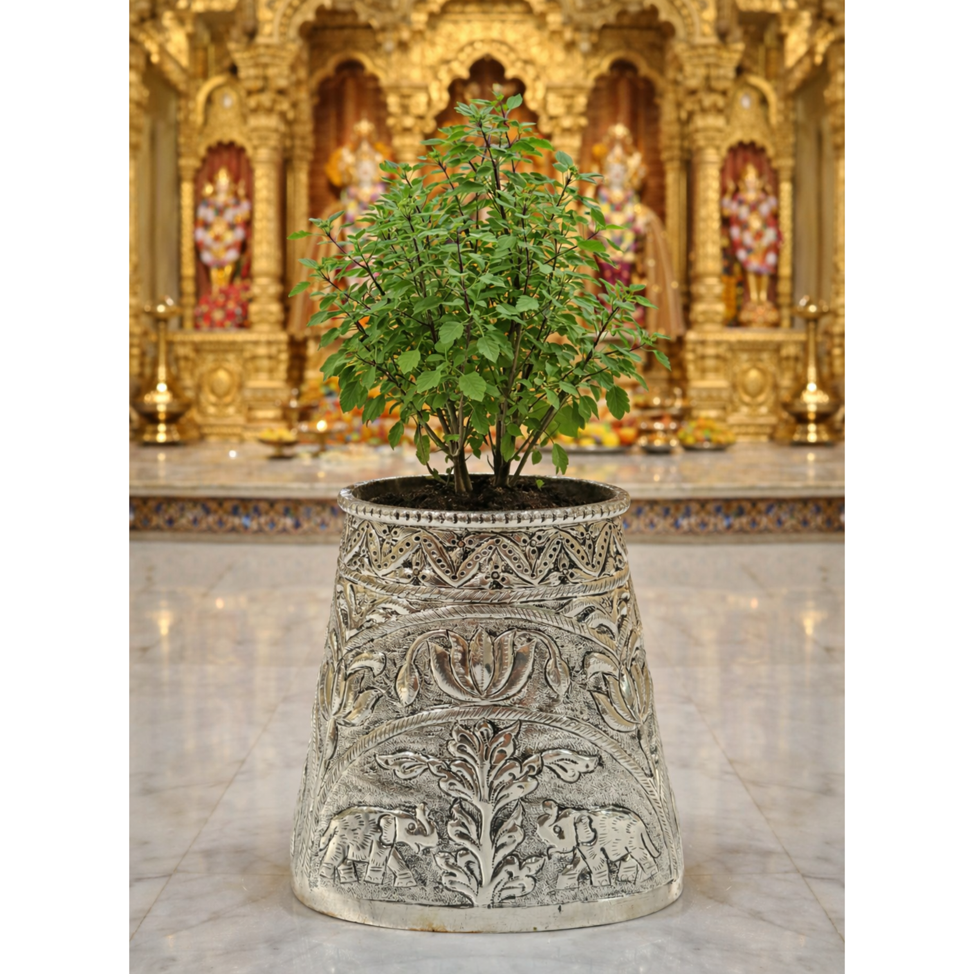 Tulsi Tree by JNJ by Madhuri, featuring an elegant and sacred design with a premium finish, ideal for spiritual home décor, pooja spaces, and graceful traditional interiors.
