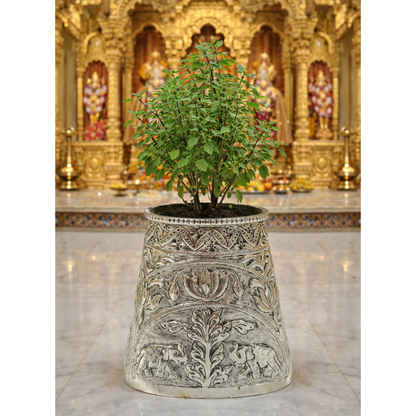 Tulsi Tree by JNJ by Madhuri, featuring an elegant and sacred design with a premium finish, ideal for spiritual home décor, pooja spaces, and graceful traditional interiors.
